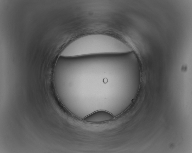 X0000093450018200710121015
