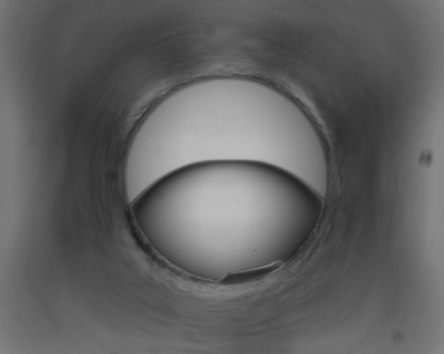 X0000093450019200710121015