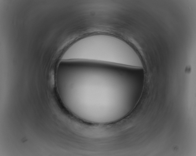 X0000093450020200710121015