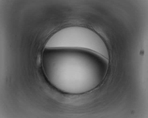 X0000093450021200710121015