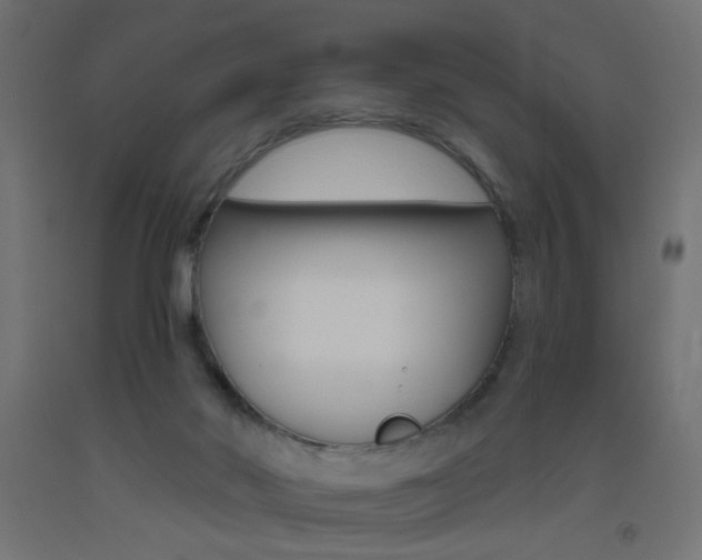X0000093450022200710121015