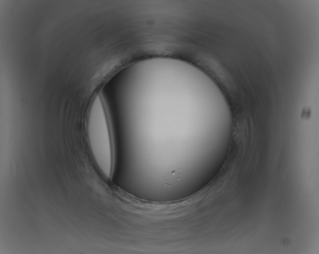 X0000093450023200710121015