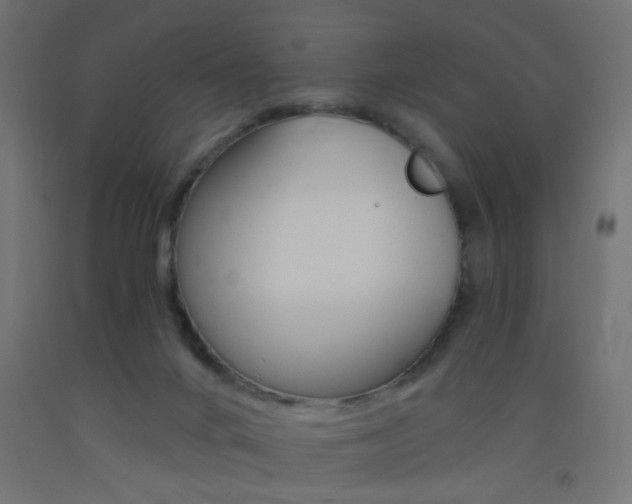 X0000093450024200710121015
