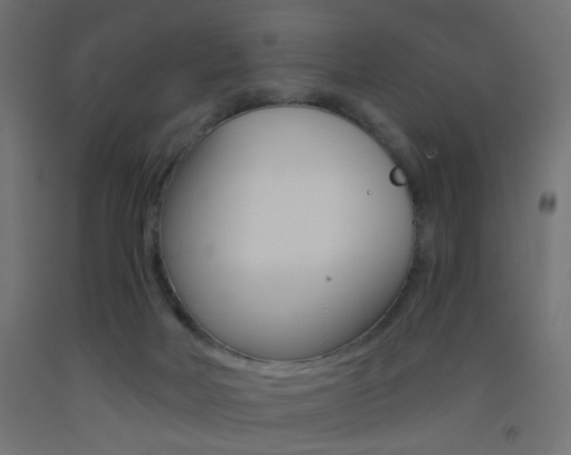 X0000093450026200710121015