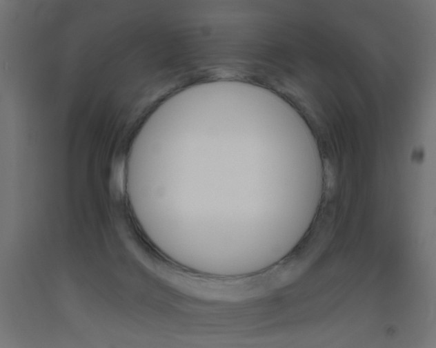 X0000093450028200710121015