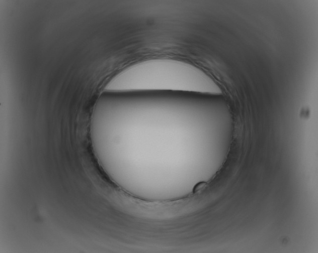 X0000093450030200710121015