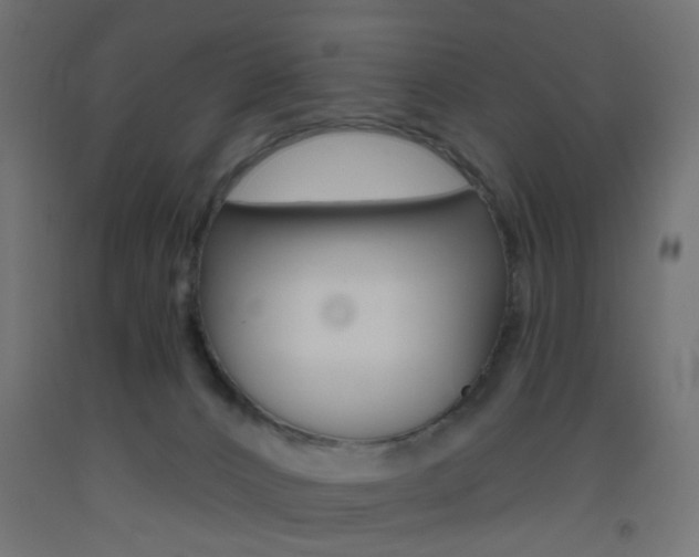 X0000093450032200710121015