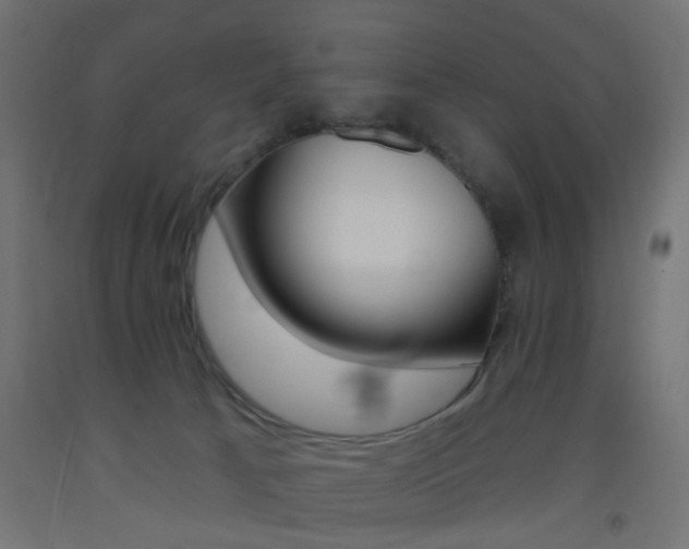 X0000093450033200710121015
