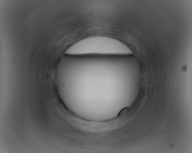 X0000093450034200710121015