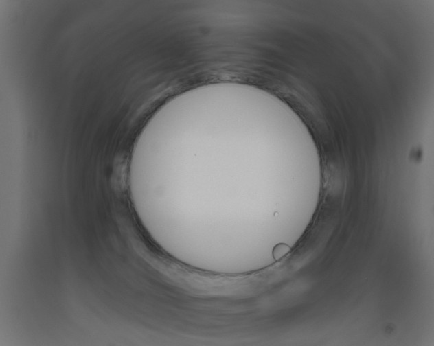 X0000093450036200710121015