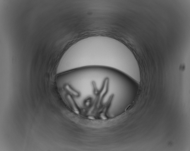 X0000093450037200710121015
