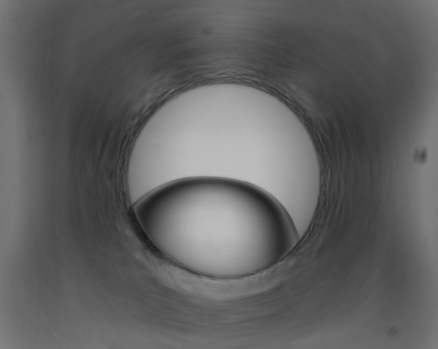 X0000093450039200710121015