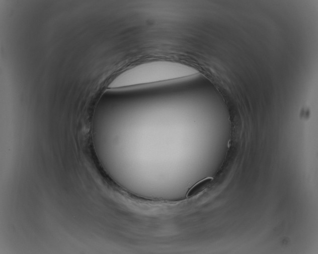 X0000093450040200710121015
