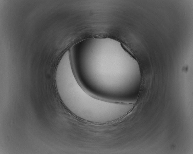 X0000093450041200710121015