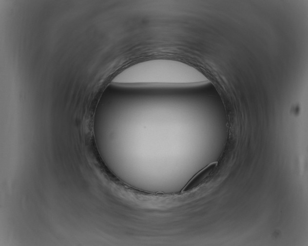 X0000093450044200710121015