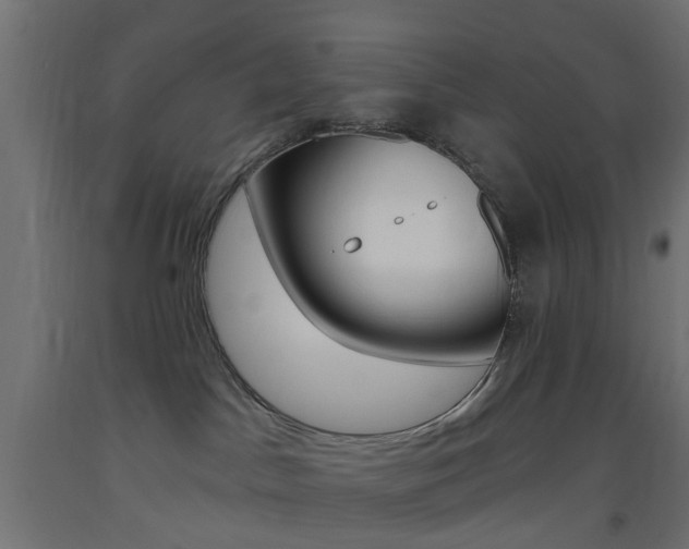 X0000093450045200710121015
