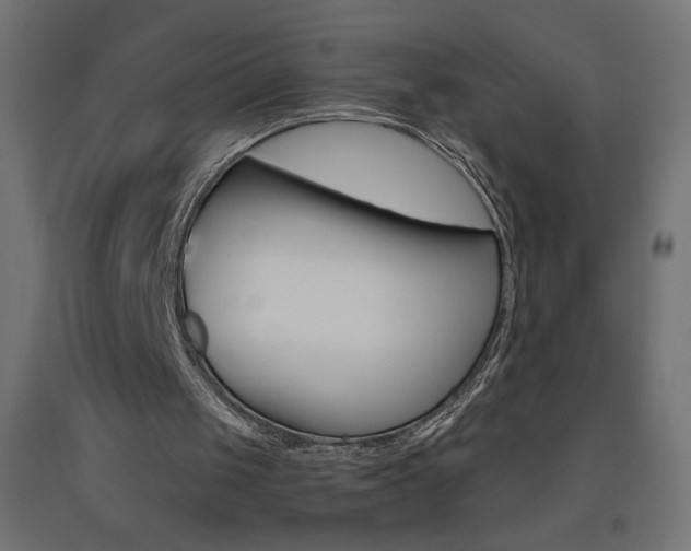 X0000093450049200710121014