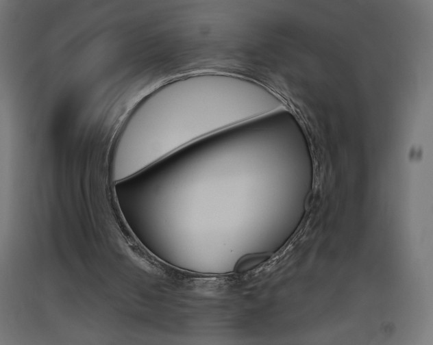 X0000093450050200710121014