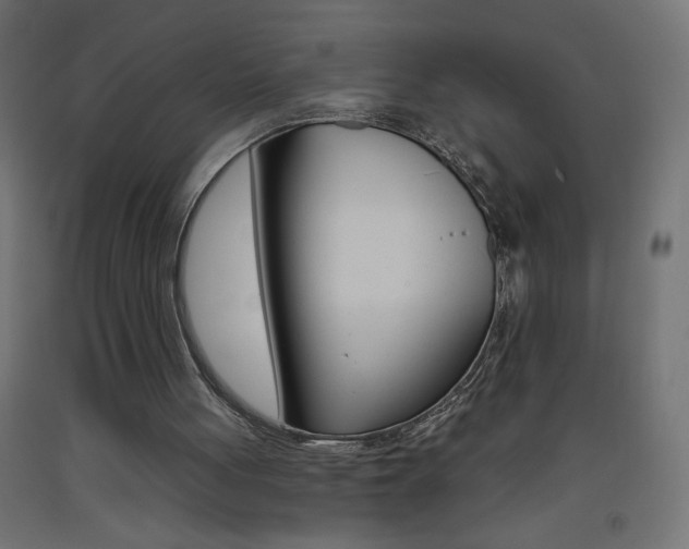 X0000093450051200710121014