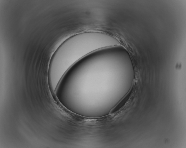 X0000093450052200710121014