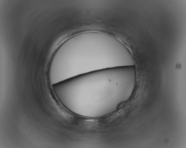 X0000093450053200710121014