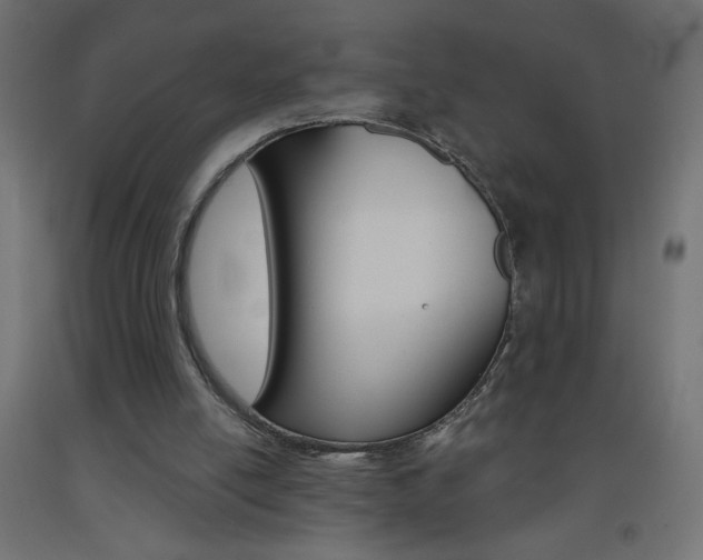 X0000093450054200710121014
