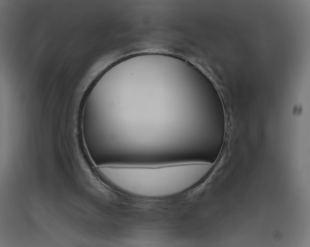 X0000093450055200710121014