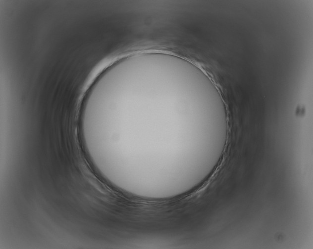 X0000093450056200710121014