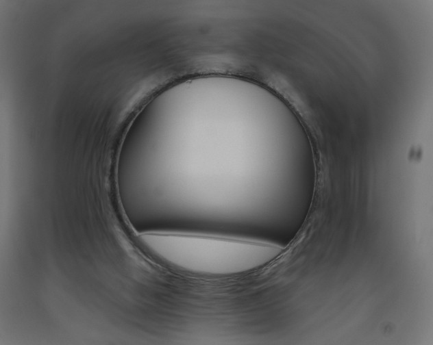 X0000093450058200710121014