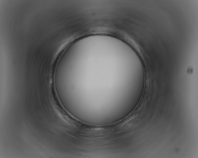 X0000093450059200710121014