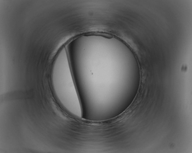 X0000093450060200710121014