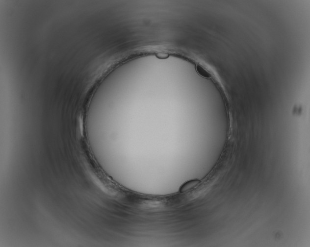 X0000093450061200710121014