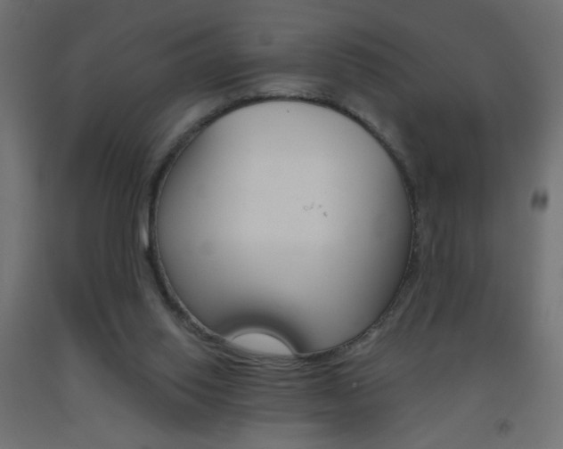 X0000093450062200710121014