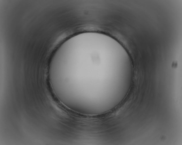 X0000093450063200710121014