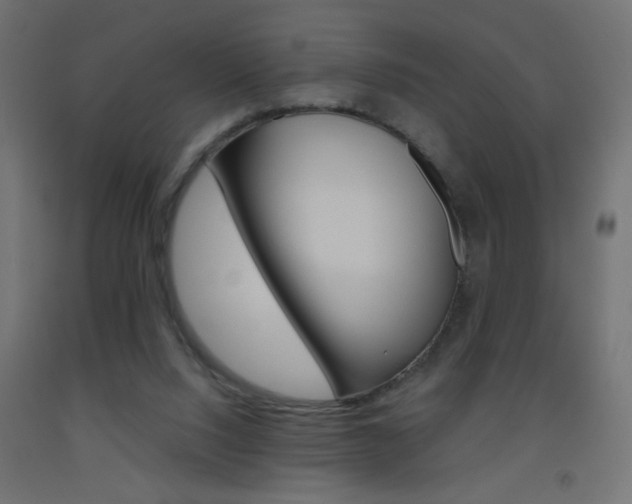 X0000093450064200710121014