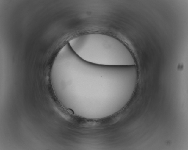 X0000093450065200710121014