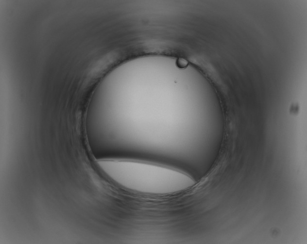 X0000093450066200710121014