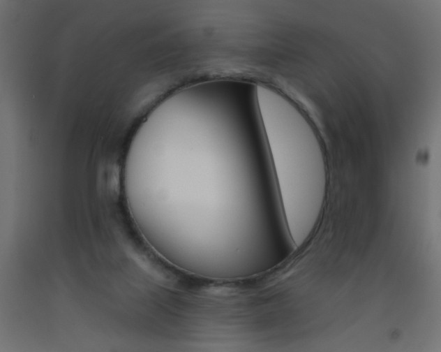 X0000093450067200710121014