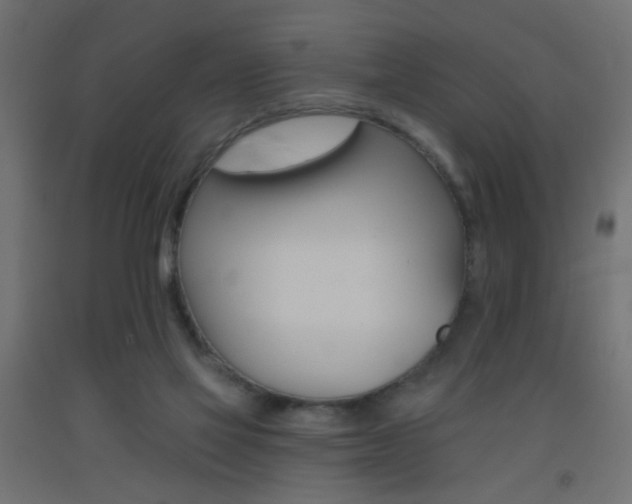 X0000093450069200710121014
