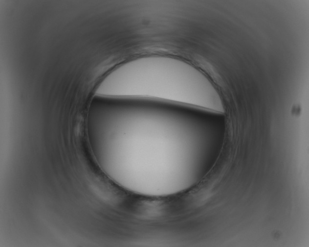 X0000093450071200710121014
