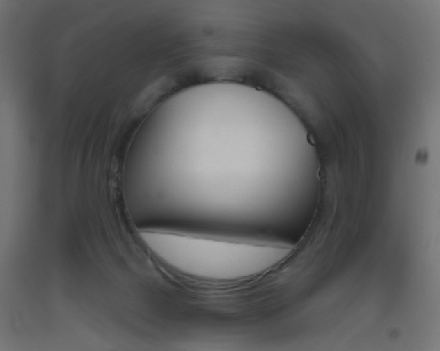 X0000093450073200710121014