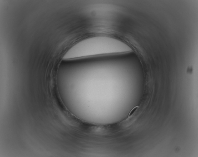 X0000093450074200710121014