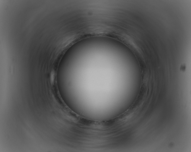 X0000093450076200710121014