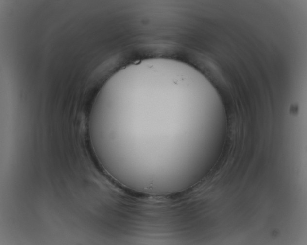 X0000093450077200710121014