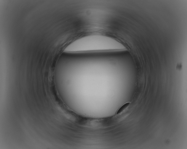 X0000093450078200710121014