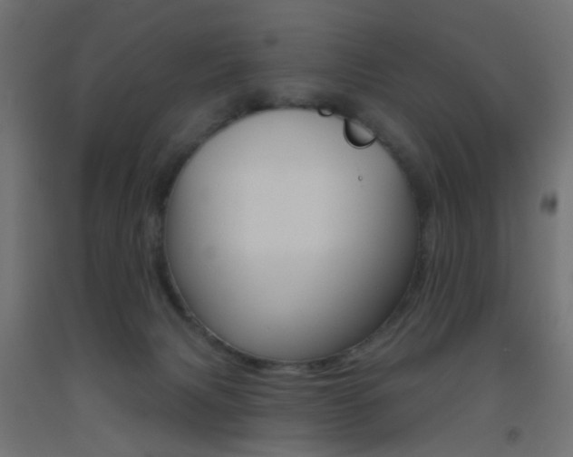 X0000093450079200710121014