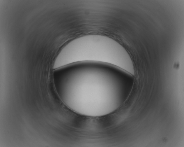 X0000093450080200710121014
