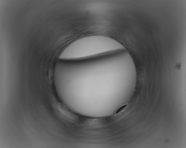 X0000093450082200710121014