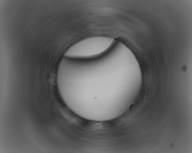 X0000093450083200710121014