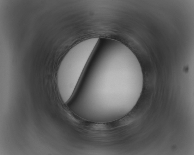 X0000093450085200710121014